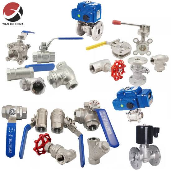 OEM Supplier Customized NPT JIS Stainless Steel Solenoid Valve/Gate/Ball/Check/Globe/Gas/Water/Safety/Control/Non Return/Expansion/Pneumatic/Actuator Valve