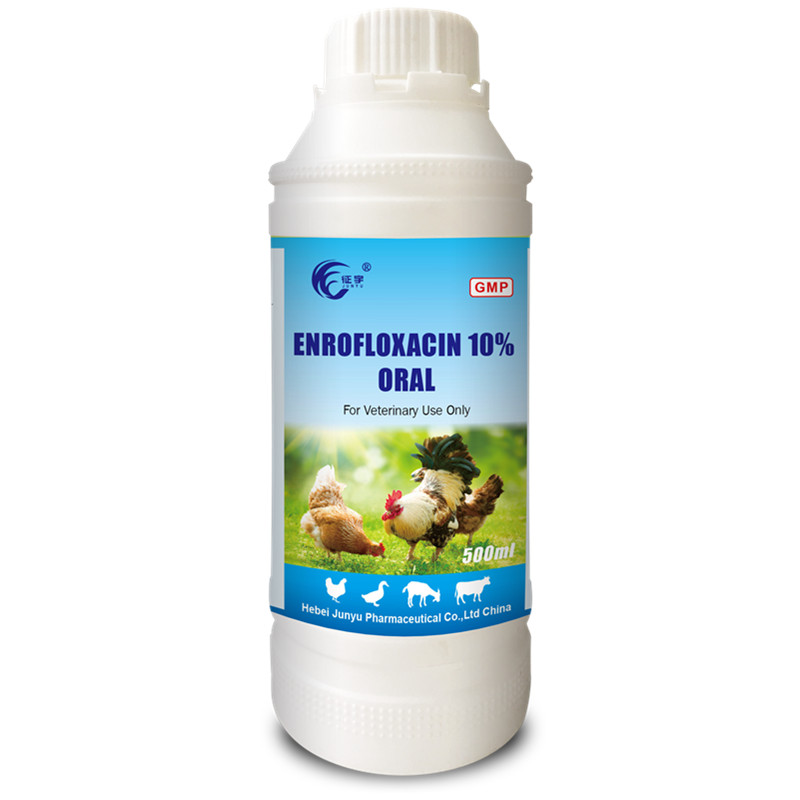 Enrofloxacin 10% Enrofloxacin Oral Solution