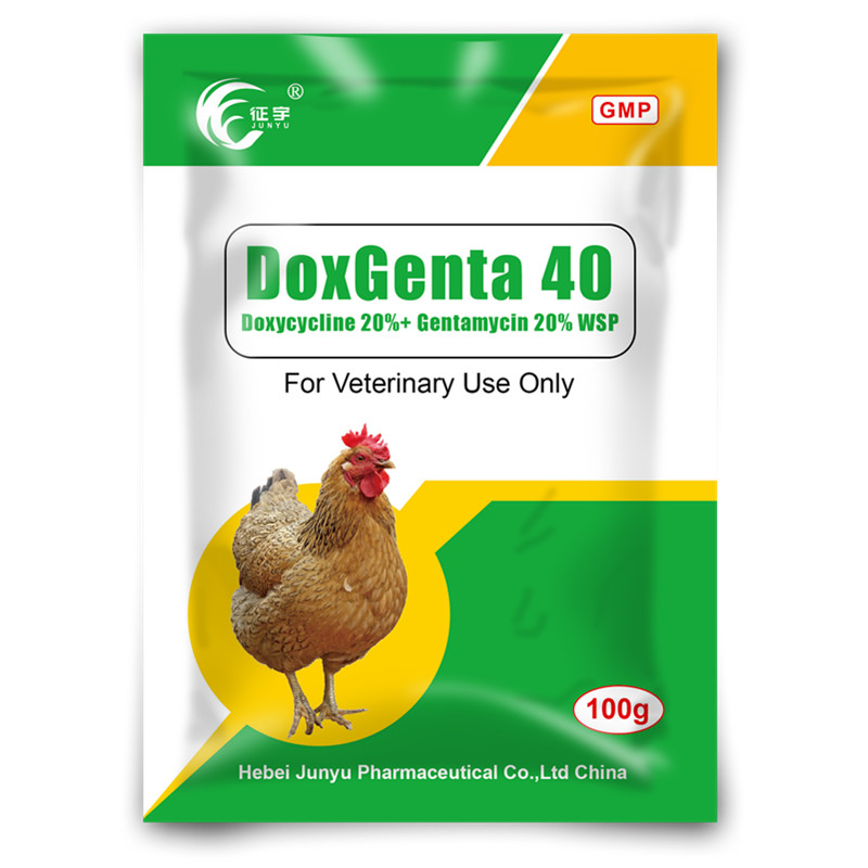 DoxGenta 40 Doxycyline 20%+Gentamycin 20% WSP