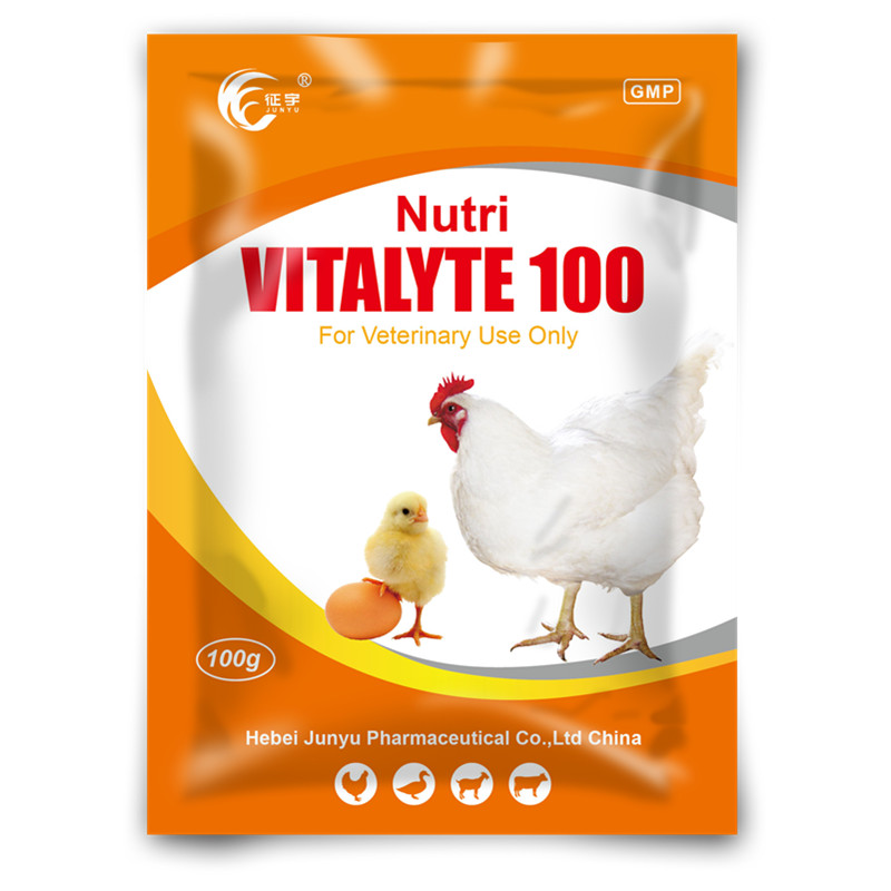 Nutrition Vitalyte 100 WSP Vitamin Water Soluble Powder Featured Image