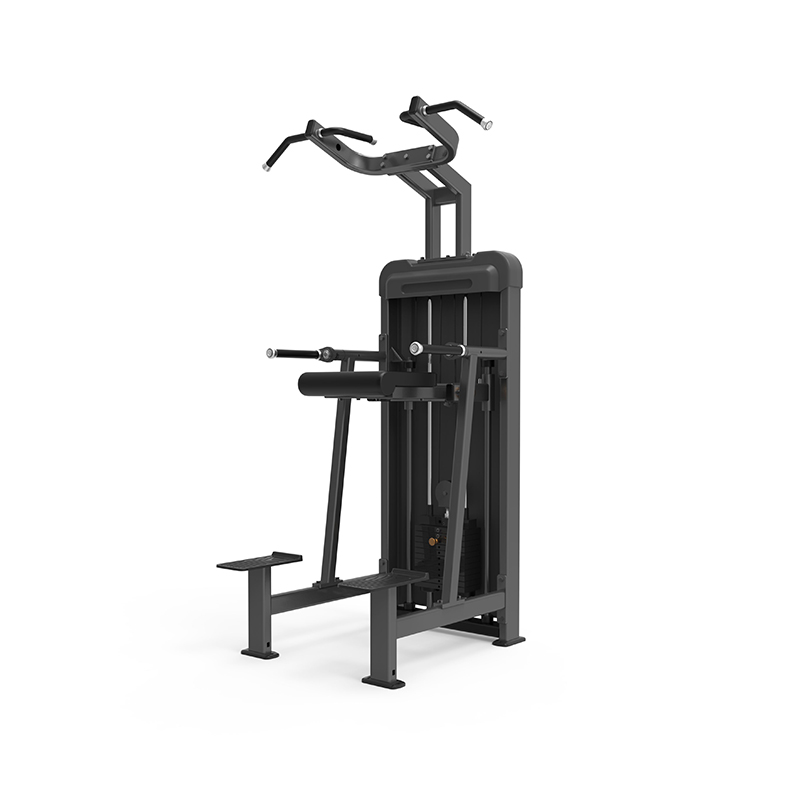CPB102 Dip-Chin Assistant Kummerċjali Fitness Gym Workout Magni Dehru Image