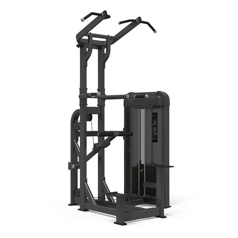 PE105 Dip/Chin Assistant Top Quality Hot belling Fitness Equipment
