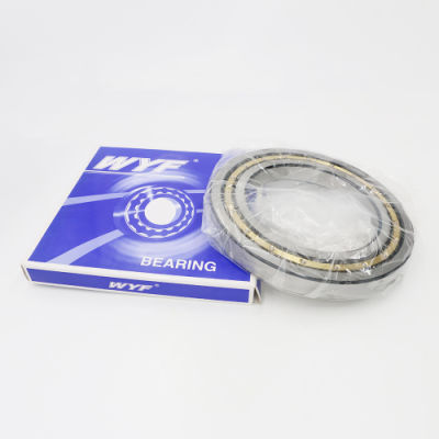 Motor Clearance Spindle Bearing Rubber Cover 16008 Zz Ball Bearings