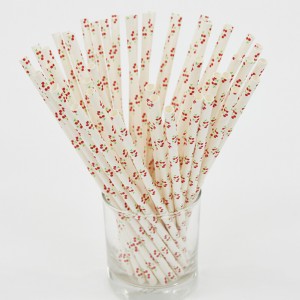 Nativus Disposable Paper Straw pro Party Bibere