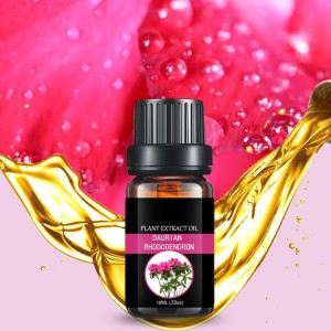 Factory wholesale azalea essential oil aromatherapy oil