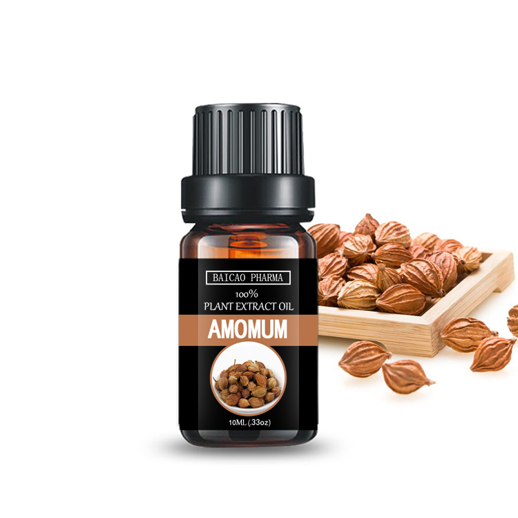 Amomum oil medicinal grade extract Amomum villosum oil