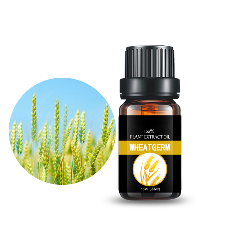 Wheat Germ Oil Plant Extract Flavored Oil Carrier oil