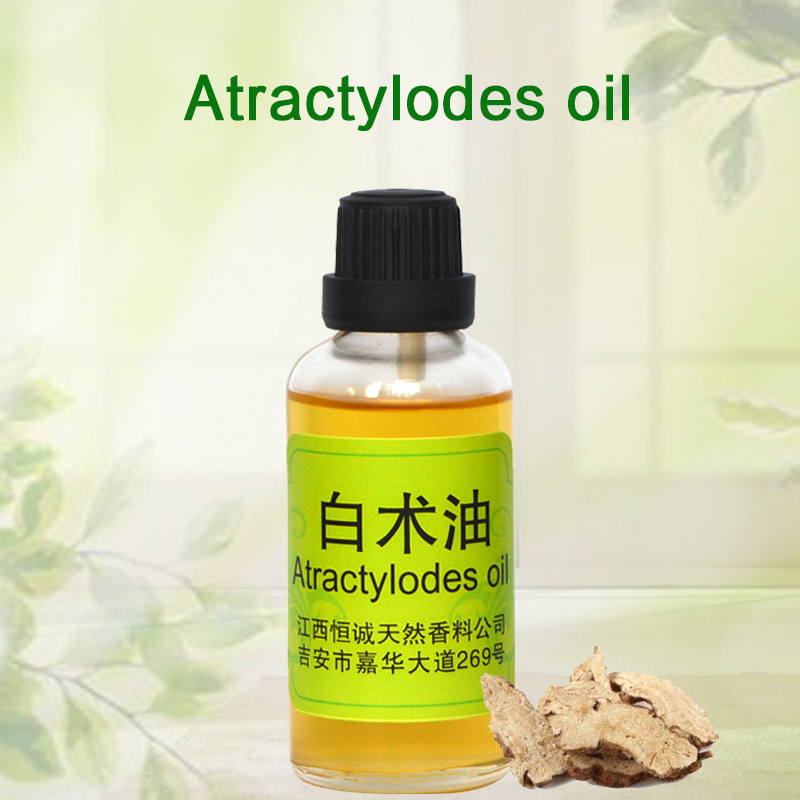 Global exporter of essential oil plant extract atractylodes macrocephala oil