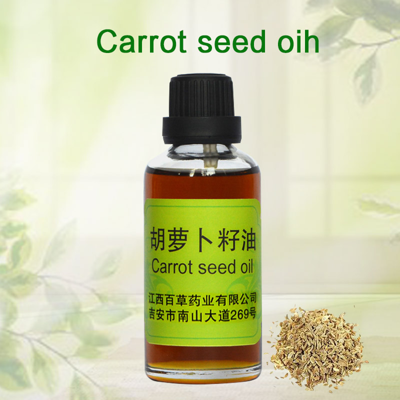 Huile de parfum Huile de graines de carotte Exportateur mondial Jiangxi Huile essentielle