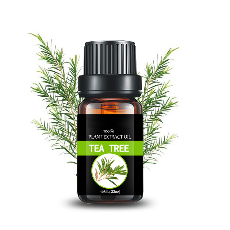 Tilpasset lille flaske producent shampoo Daily Flavor, Food Flavor aromaterapi diffuser tea tree olie