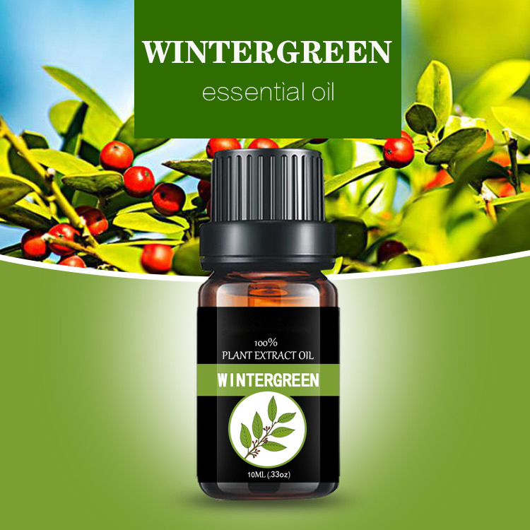អ្នកនាំចេញសកលនៃប្រេងក្រអូប Holly oil លក់ដុំសុទ្ធ methyl salicylate wintergreen oil