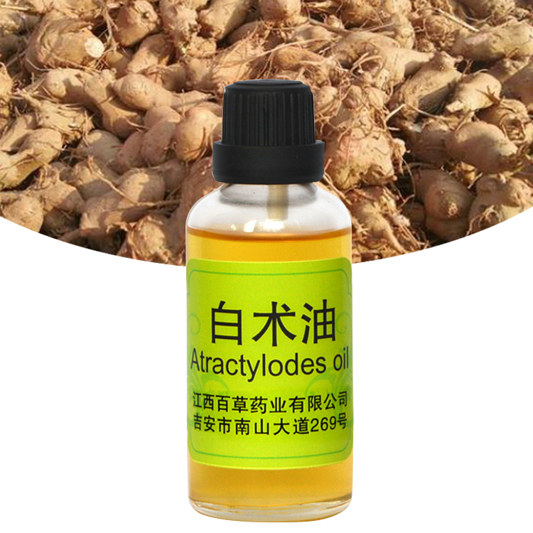 Natural Atractylodes Essential Oil Plant Extract Essential Oil