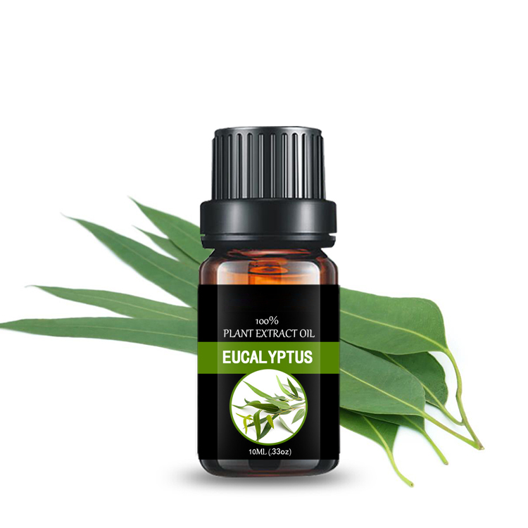 Manifattur tal-flixkun żgħir personalizzat Flavor & Fragrances Eucalyptus Essential Oil
