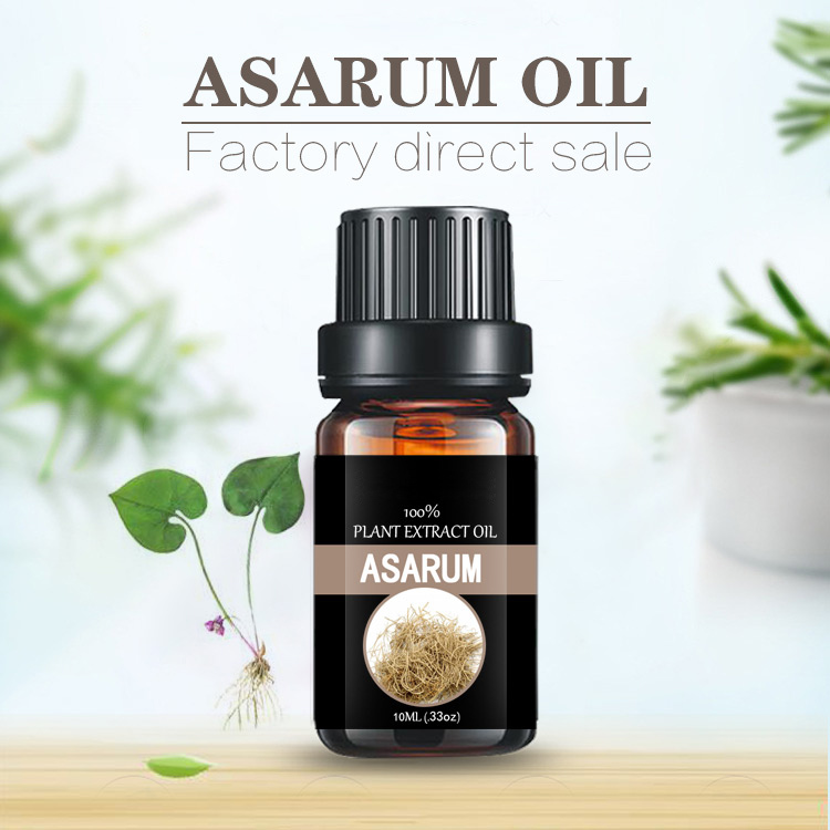 Asarum oil สารสกัดจากสมุนไพรคุณภาพสูง Asarum Essential Oil