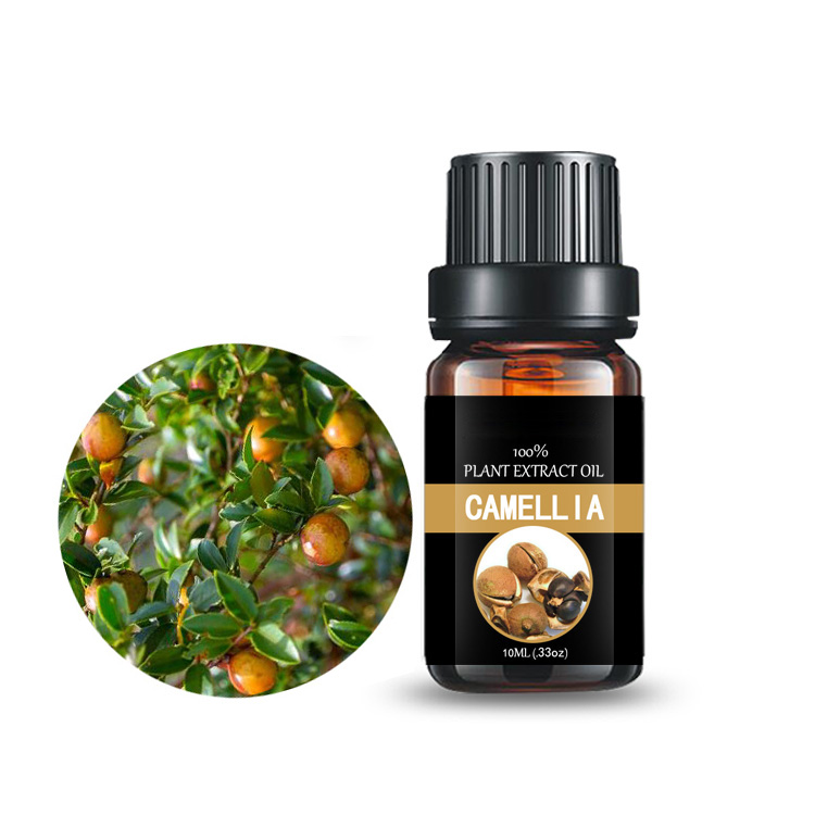 Petite bouteille personnalisée CAS NO.68917-75-9 huile essentielle de graines de camélia pour la peau et les cheveux