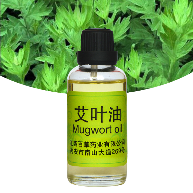 Minyak aromaterapi Minyak Mugwort Pijat minyak esensial
