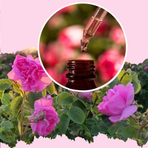 कस्मेटिक थोक गुलाब पानी को लागी प्राकृतिक गुलाब हाइड्रोसोल फ्लोरल वाटर