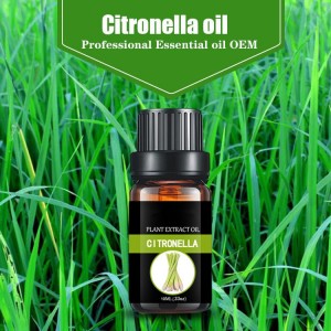 Plant extract citronella oil essential oil