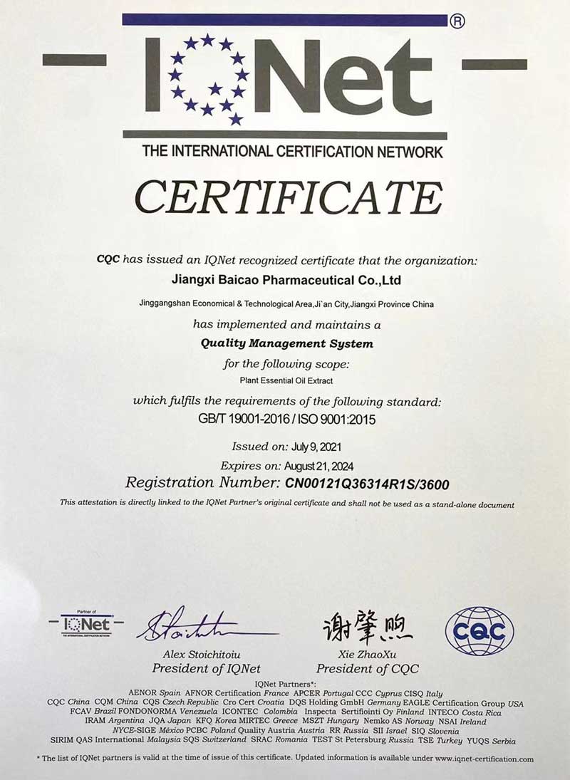 сертификат-02