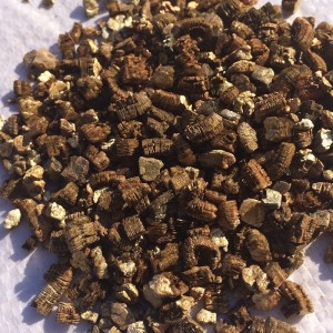 Letto in vermiculite per l'incubazione di l'ova di rettili