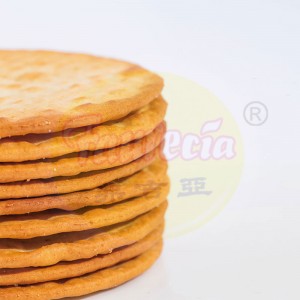 Dish Food Wtaer Crackers Suikervry 200g