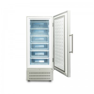 -40℃ Upright Deep Freezer – 390L