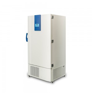-86℃ Upright ULT Freezer – 590L