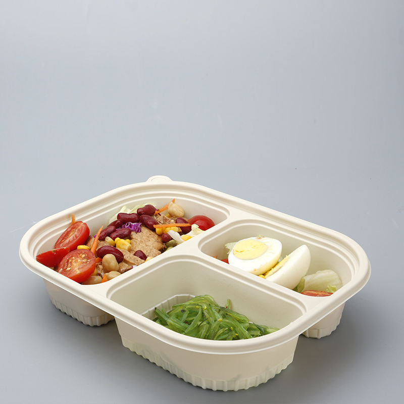 Rice Cornstarch Custom Box Frumentum Starch Biodegradable Takeaway Catering Size Food Container