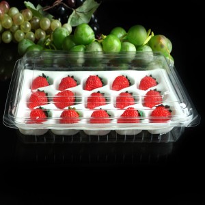 Multi-stijlen plastic dozen Kleine doorzichtige plastic voedselcontainer Aardbeiendoos