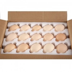 Епе пена за продају кутија за јаја отпорна на ударце земљана кутија за јаја