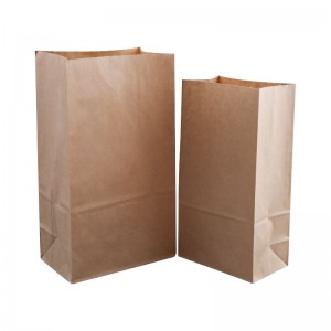 Bvisa Kraft Paper Bag