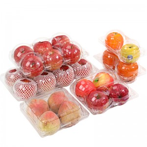 Şeffaf Kapaklı Ambalaj Kutusu Sebze Meyve Saklama Kabı Plastik Blister Ambalaj Blister
