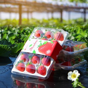 Vairāku stilu plastmasas kastes Mazas caurspīdīgas plastmasas pārtikas konteineru zemeņu kaste