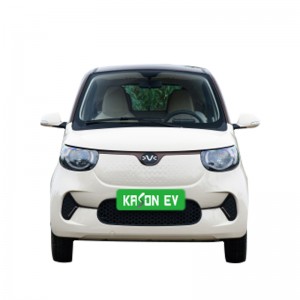 Henrey Tiger FEV 4-zits nieuwe energie multifunctioneel mini elektrisch voertuig