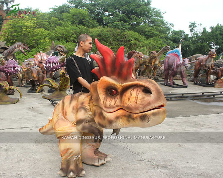 Ile-iṣere Idaraya Realistic Animatronic Dinosaur Costume T-Rex Apata Adani pẹlu Me DC-922
