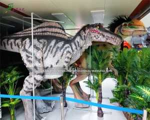 Parc de distracții Costum de dinozaur animatronic realist personalizat Spinosaurus DC-921