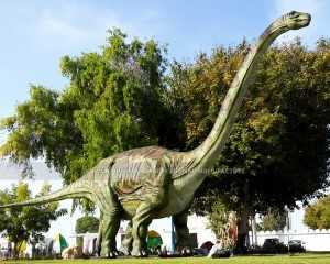Купіць Аніматронны дыназаўр Ruyangosaurus Long Neck Dinosaurs Рэалістычны дыназаўр AD-050