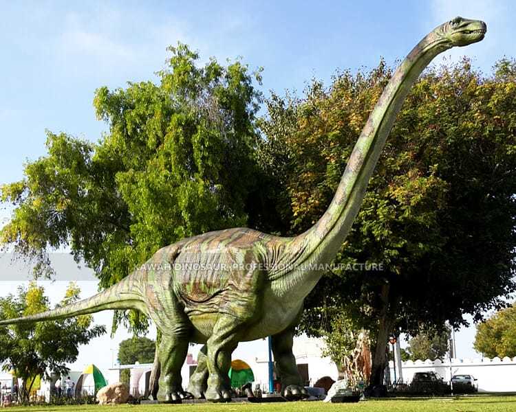 Animatronic ডাইনোসর Ruyangosaurus লং নেক ডাইনোসর বাস্তবসম্মত ডাইনোসর AD-050 কিনুন