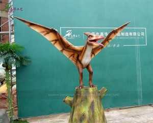 Fábrica de dinosaurios Estatua de Pterosauria Dinosaurio de tamaño natural Animatronic AD-155 personalizado