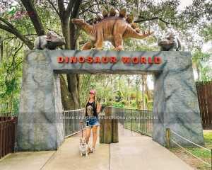 Entrada do Parque de Dinossauros de Fibra de Vidro Personalizada em Fábrica PA-1901