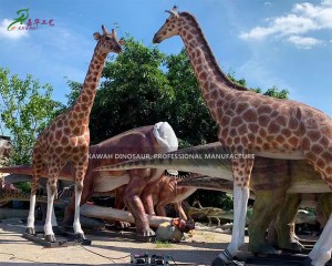 Fabrika Satışı Gerçekçi Animatronik Hayvanlar Yaşam Boyu Zürafa Heykeli Özelleştirilmiş AA-1250