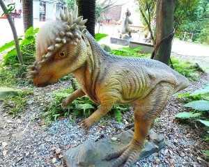Life Size Dinosaur Pachycephalosaurus Animatronic Dinosaur Customized