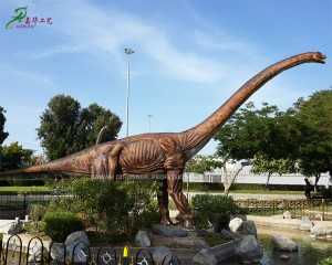 Life Size Dinosaur Sauroposeidon Dinosaurio Animatronic