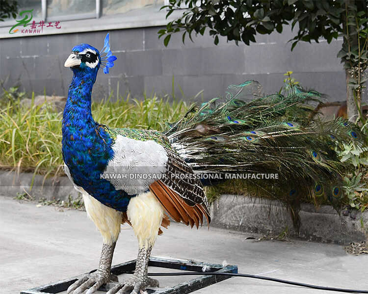 Life Size Peacock Animatronic Annimali b'Movimenti u Ħoss AA-1215