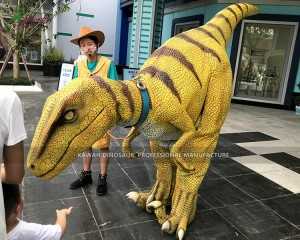 Kostum Velociraptor tal-Kostum Dinosaur realistiku personalizzat għall-Park Show DC-937