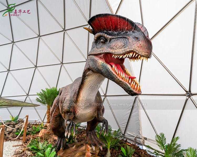 Realistiška dinozauro statula Dilofozauro natūralaus dydžio dinozauras AD-116