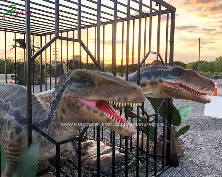 Realistischer Dinosaurier Velociraptor Animatronischer Dinosaurier Hersteller AD-126