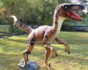 Top Quality Garden Dinosaur Statue Fiberglass Velociraptor Dinosaur Decoration