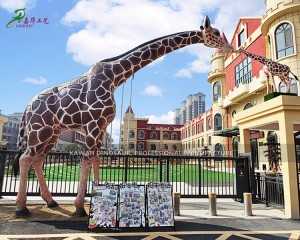 Ikhwalithi ephezulu Yesango Lesikole Umhlobiso Wokuphila Usayizi weFiberglass Giraffe Statue FP-2432