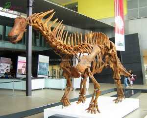 Динозаврдын кол менен жасалган гигант амаргазаврдын фоссилинин мектеп билими үчүн динозаврдын баш сөөгүнүн көчүрмөлөрү SR-1816